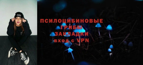 круглые Алексеевка