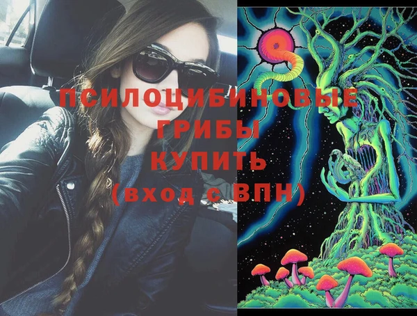тгк Алексин